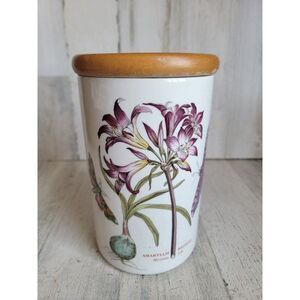 Botanic garden‎ Amaryllis Reginae Mexican Lily large jar